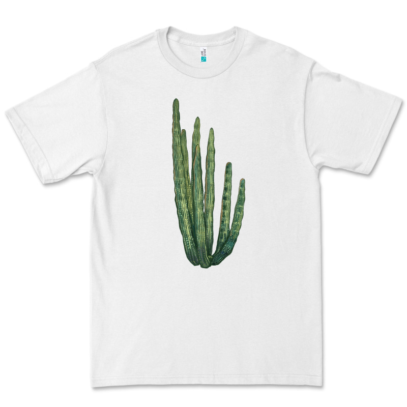 Organ Pipe Cactus Premium Tee by LillyAllenDesigns | Teevron
