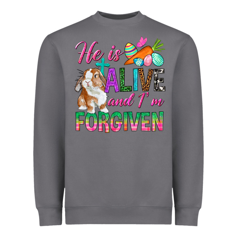 He Is Alive And I'm Forgiven Heavyweight Sweatshirt by BundleAndBundleShop | Teevron