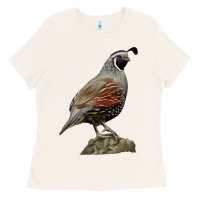 Bone California Quail Bird Ladies Tee - RanaPortraitStore