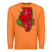 Carrot illinois watermelon Premium Sweatshirt - RacoonDesign