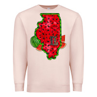 Pale Pink illinois watermelon Premium Sweatshirt - RacoonDesign