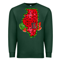 Sports Green illinois watermelon Premium Sweatshirt - RacoonDesign