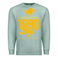 Seafoam steel ball run 1890 Premium Sweatshirt - lanVoArt