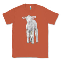 Copper merino wool baby sheep Classic Tee - LillyAllenDesigns