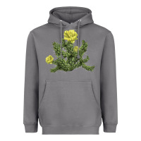 Storm whipple cholla cactus Heavyweight Hoodie - LillyAllenDesigns