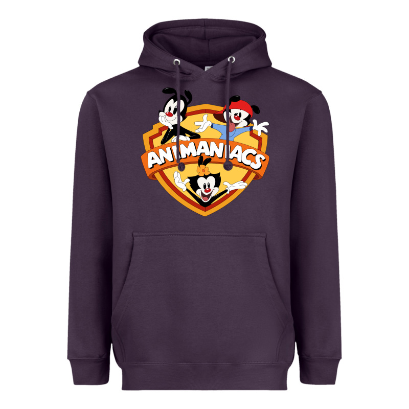 Animaniacs Best Movie Heavyweight Hoodie by lanVoArt | Teevron