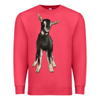 Cardinal Hand Drawn Baby Alpine Goat Premium Sweatshirt - LillyAllenDesigns