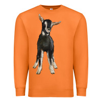 Carrot Hand Drawn Baby Alpine Goat Premium Sweatshirt - LillyAllenDesigns