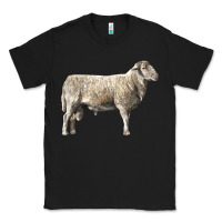 Black katahdin sheep Classic Tee - LillyAllenDesigns