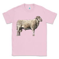 Bubblegum Pink katahdin sheep Classic Tee - LillyAllenDesigns