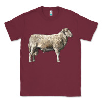 Burgundy katahdin sheep Classic Tee - LillyAllenDesigns