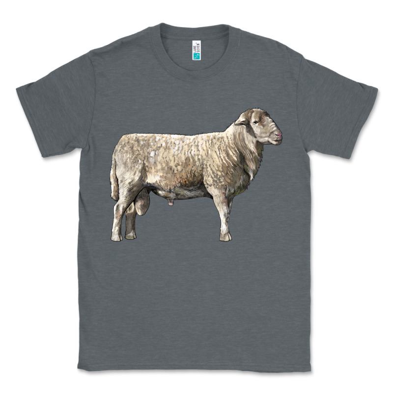 Katahdin Sheep Classic Tee by LillyAllenDesigns | Teevron