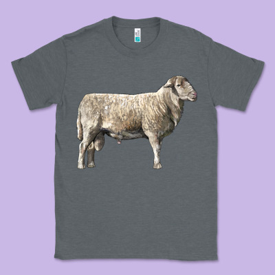 Katahdin Sheep Classic Tee Designed By Lillyallendesigns