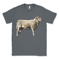 Charcoal Heather katahdin sheep Classic Tee - LillyAllenDesigns
