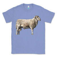 Colony Blue katahdin sheep Classic Tee - LillyAllenDesigns