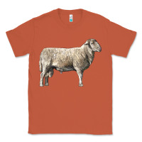 Copper katahdin sheep Classic Tee - LillyAllenDesigns