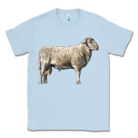 Dusty Blue katahdin sheep Classic Tee - LillyAllenDesigns