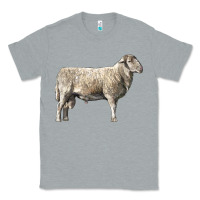 Heather Grey katahdin sheep Classic Tee - LillyAllenDesigns