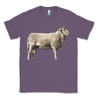 Lavender katahdin sheep Classic Tee - LillyAllenDesigns