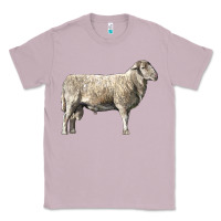 Lilac katahdin sheep Classic Tee - LillyAllenDesigns