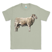 Matcha katahdin sheep Classic Tee - LillyAllenDesigns