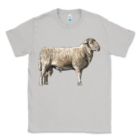 Moon Dust katahdin sheep Classic Tee - LillyAllenDesigns