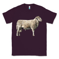 Plum katahdin sheep Classic Tee - LillyAllenDesigns