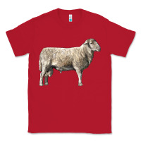 Red katahdin sheep Classic Tee - LillyAllenDesigns