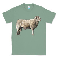 Sage katahdin sheep Classic Tee - LillyAllenDesigns