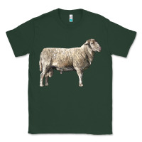 Sports Green katahdin sheep Classic Tee - LillyAllenDesigns