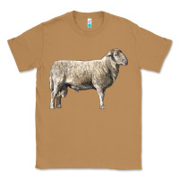 Toasted Coconut katahdin sheep Classic Tee - LillyAllenDesigns
