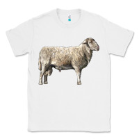 White katahdin sheep Classic Tee - LillyAllenDesigns