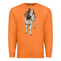 Carrot boer goat Premium Sweatshirt - LillyAllenDesigns