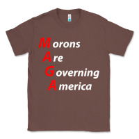 Chestnut morons are governing america anti trump political t shirt Classic Tee - lanVoArt