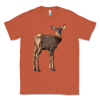 Copper elk fawn deer Classic Tee - LillyAllenDesigns