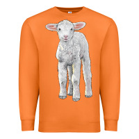 Carrot merino wool baby sheep Premium Sweatshirt - LillyAllenDesigns