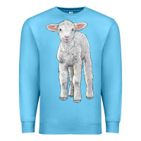 Ocean Blue merino wool baby sheep Premium Sweatshirt - LillyAllenDesigns
