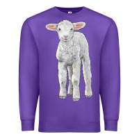 Merino Wool Baby Sheep Premium Sweatshirt | Teevron