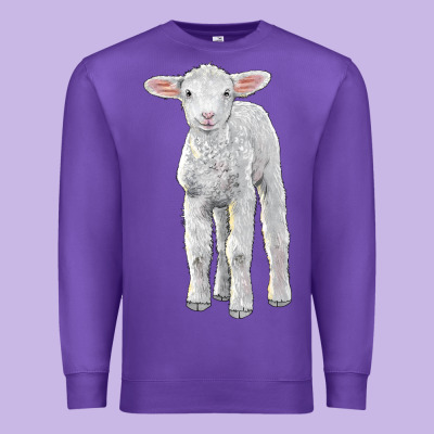 Merino Wool Baby Sheep Premium Sweatshirt Designed By Lillyallendesigns
