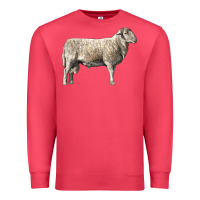Cardinal katahdin sheep Premium Sweatshirt - LillyAllenDesigns