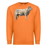 Carrot katahdin sheep Premium Sweatshirt - LillyAllenDesigns