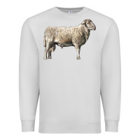 Dove Grey katahdin sheep Premium Sweatshirt - LillyAllenDesigns
