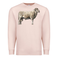 Pale Pink katahdin sheep Premium Sweatshirt - LillyAllenDesigns