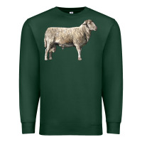 Sports Green katahdin sheep Premium Sweatshirt - LillyAllenDesigns
