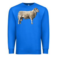 True Royal katahdin sheep Premium Sweatshirt - LillyAllenDesigns