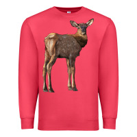 Cardinal elk fawn deer Premium Sweatshirt - LillyAllenDesigns