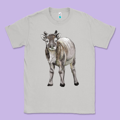 Reindeer Fawn Deer Classic Tee Designed By Lillyallendesigns