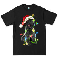 Black christmas black poodles dog Premium Tee - LillyAllenDesigns