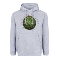 Heather Grey arizona fishhook cactus Heavyweight Hoodie - LillyAllenDesigns