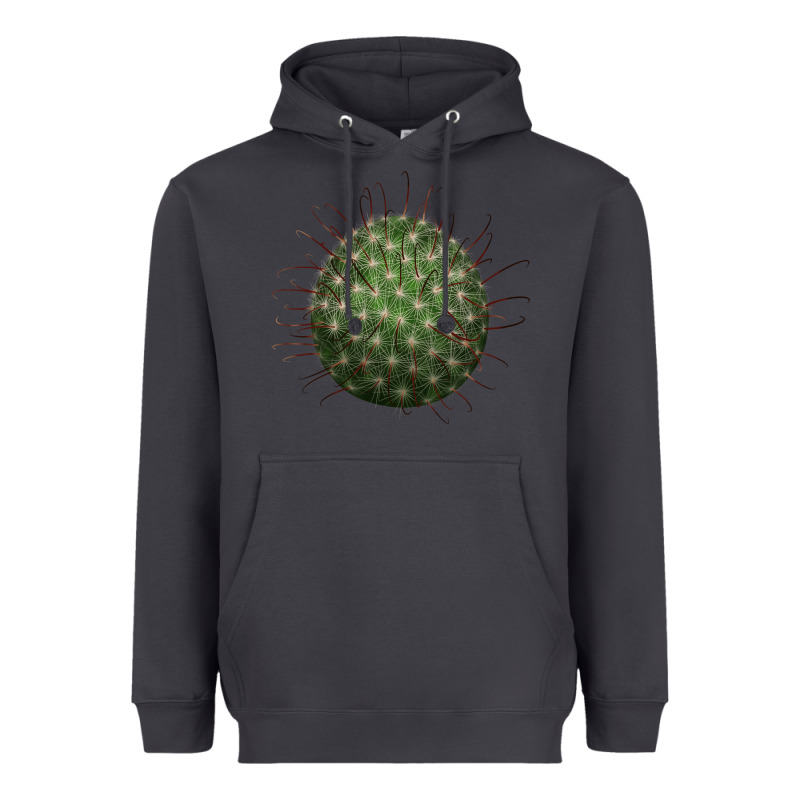 Arizona Fishhook Cactus Heavyweight Hoodie by LillyAllenDesigns | Teevron